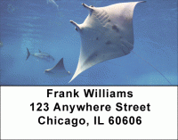 Manta Rays Address Labels Accessories