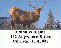 Elk Address Labels Accessories
