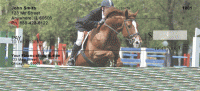 Equestrian Jumping Personal Checks