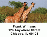 Safari Wildlife Address Labels Accessories