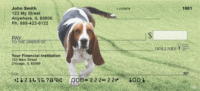 Basset Hounds Personal Checks