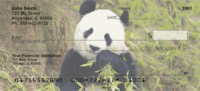 Panda Bears Personal Checks