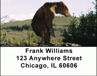 Bears in the Wild Address Labels Accessories