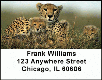 Big Cat Babies Address Labels Accessories