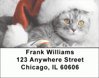 Christmas Cats Address Labels Accessories
