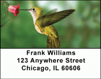 Hummingbirds Address Labels Accessories