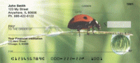 Ladybugs Personal Checks