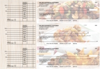 Chinese Cuisine Accounts Payable Designer Business Checks