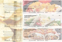 Mexican Cuisine Accounts Payable Designer Business Checks