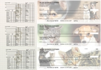 Veterinarian Payroll Designer Business Checks