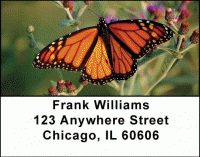 Monarch Butterflies Address Labels Accessories