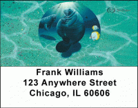 Manatee's Address Labels by David Dunleavy Accessories