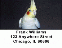 Cockatiels Address Labels Accessories
