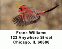 Cardinals Address Labels Accessories