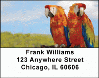 Parrots Address Labels Accessories