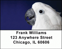 Cockatoos Address Labels Accessories