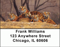 Bengal Tigers Address Labels Accessories