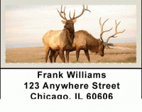 American Wildlife Address Labels Accessories