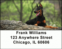 Dobermans Address Labels Accessories