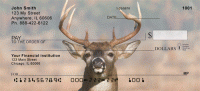 Big Horned Buck Deer Top Tear