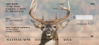 Big Horned Buck Deer Top Tear Personal Checks