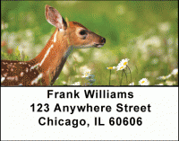 Deer Fawn Address Labels Accessories