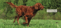 Irish Setter Personal Checks