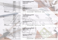 Architect Accounts Payable Designer Business Checks