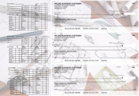 Architect Payroll Designer Business Checks