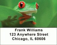 More Tree Frogs Address Labels Accessories