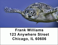 Sea Turtles Under Water Address Labels Accessories