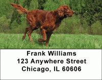 Irish Setter Address Labels Accessories