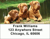 Majestic Mastiff Address Labels Accessories