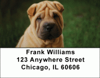 Shar Pei Address Labels Accessories