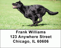 Brilliant Black Labs Address Labels Accessories