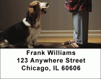 Basset Hound Address Labels Accessories