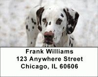 Dalmatians Address Labels Accessories