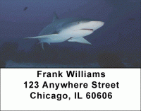 Sharks by Aggressor Fleet Address Labels Accessories