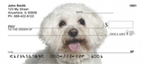 Bichon Frise Checks - Bichon Frise Personal Checks