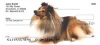 Shetland Sheepdog Personal Checks - Sheepdog Checks