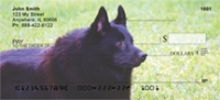 Schipperke  Checks - Schipperke Personal Checks