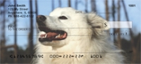 American Eskimo Dog Personal Checks - Eskimo Dog Checks