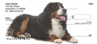 Bernese Checks - Bernese Mountain Dog Personal Checks
