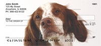 Brittany Spaniel Checks - Brittany Spaniel Personal Checks