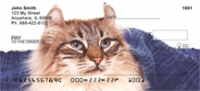 American Curl Checks - American Curl Cat Personal Checks