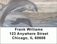 Dolphin Photos Address Labels