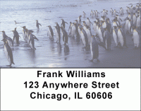 Penguin Address Labels Accessories