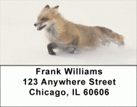 Animal Speed Address Labels