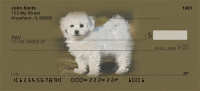 Bichon Frise Personal Checks