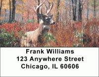 Big Buck Deer Address Labels Accessories